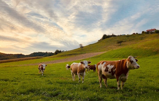 Illinois Dairy Supply Safe from H5N1 as State Agencies Implement Rigorous Prevention Measures