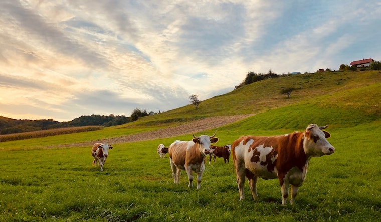 Illinois Dairy Supply Safe from H5N1 as State Agencies Implement Rigorous Prevention Measures