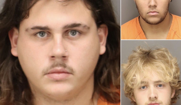 Three Teens Arrested in Pinellas County for Alleged $20,000 Counterfeit Currency Scheme