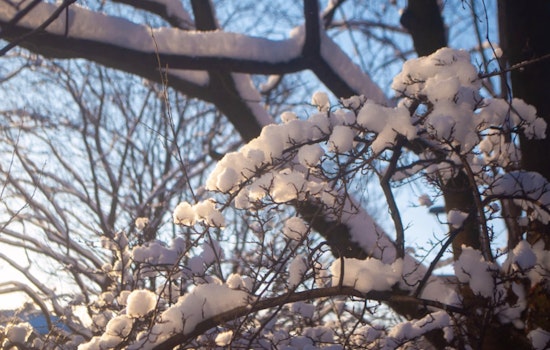 Indianapolis on Frost Alert: NWS Issues Advisory and Warning for Looming Cold Snap
