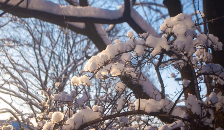 Indianapolis on Frost Alert: NWS Issues Advisory and Warning for Looming Cold Snap