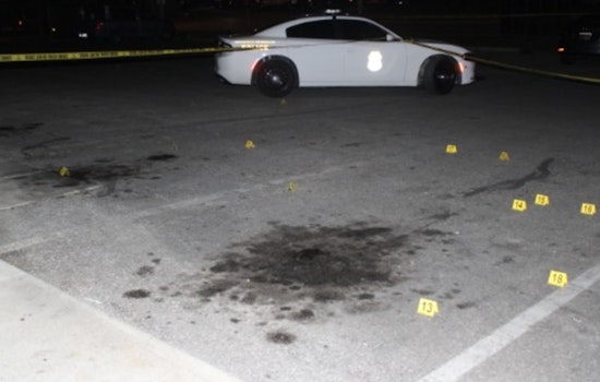 Indianapolis Shooting Suspect Terry Rowe Jr. Faces Multiple Charges Following Tense Confrontation