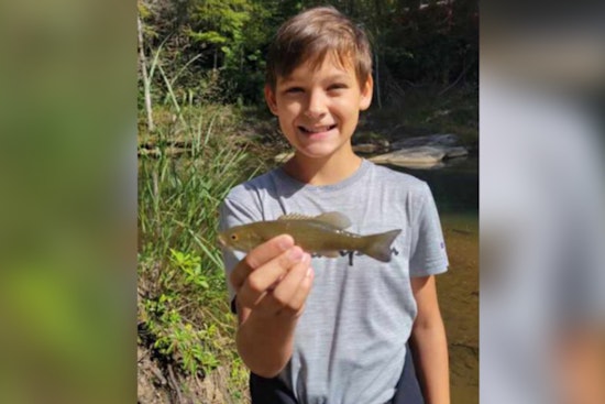 Iredell County Sheriff's Office Enlists Community Help to Find Missing 11-Year-Old in Troutman