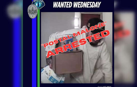Irvine Police Nab 'Postal Malone' Suspect in Wake of Community Tips on Package Thefts