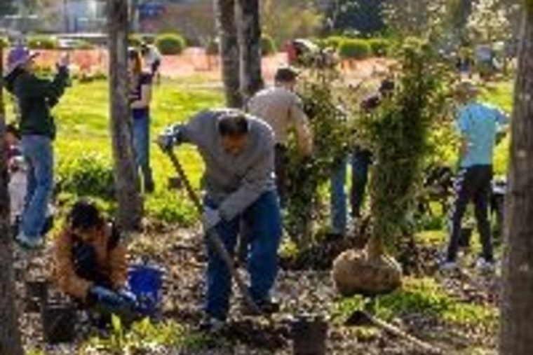 Issaquah Calls on Residents to Join Green Volunteer Initiatives for Sustainability and Preparedness