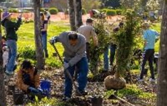 Issaquah Calls on Residents to Join Green Volunteer Initiatives for Sustainability and Preparedness