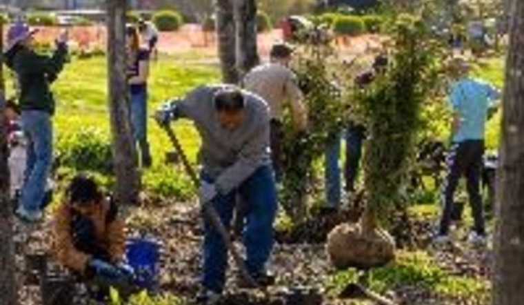 Issaquah Calls on Residents to Join Green Volunteer Initiatives for Sustainability and Preparedness