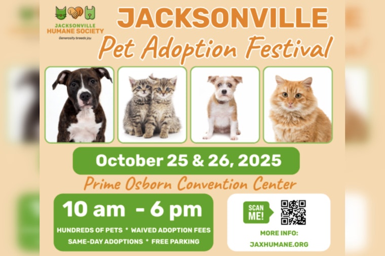 Jacksonville Pet Adoption Festival Offers Fee-Free Chance to Find Your New Companion