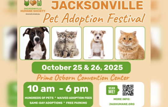 Jacksonville Pet Adoption Festival Offers Fee-Free Chance to Find Your New Companion