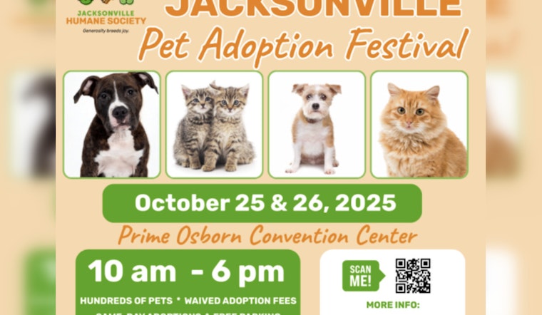 Jacksonville Pet Adoption Festival Offers Fee-Free Chance to Find Your New Companion