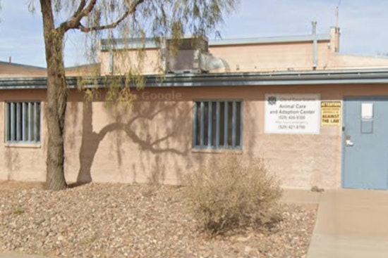 Join the Community Mural Project and Pet Adoption Event at Casa Grande Animal Care & Adoption Center