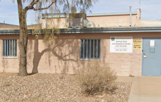 Join the Community Mural Project and Pet Adoption Event at Casa Grande Animal Care & Adoption Center