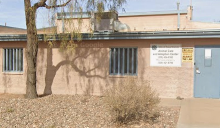Join the Community Mural Project and Pet Adoption Event at Casa Grande Animal Care & Adoption Center