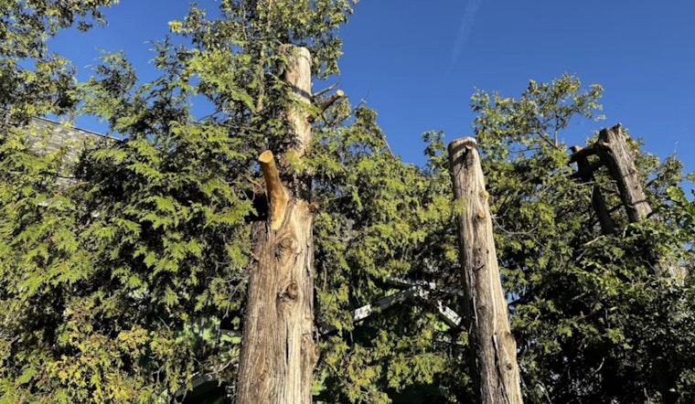 Kamalani Playground at Lydgate Park Closed on Oct. 14 for Tree Trimming Maintenance