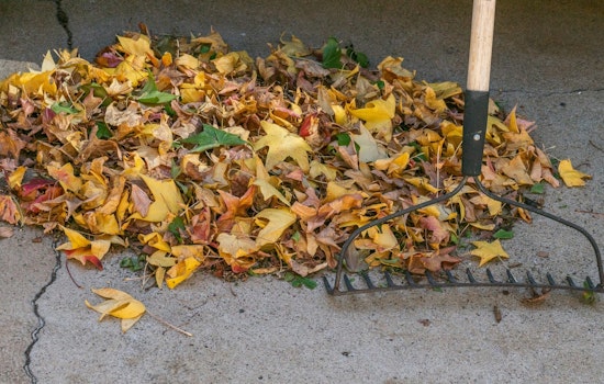 Kannapolis Announces Loose Leaf Collection Starting November 3, Residents Urged to Prepare