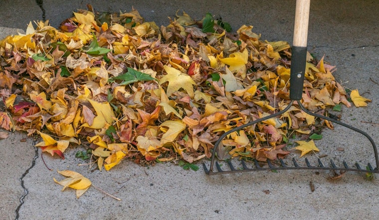 Kannapolis Announces Loose Leaf Collection Starting November 3, Residents Urged to Prepare