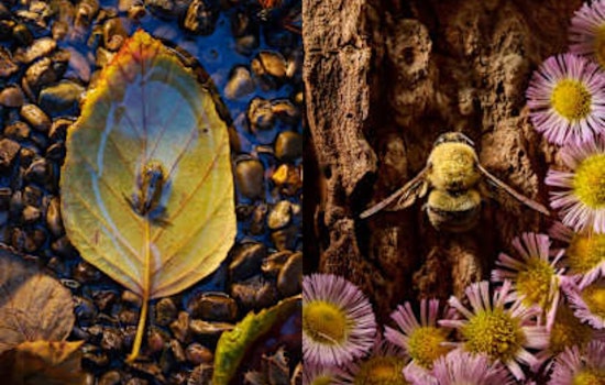 "Kleinfunde" Exhibit at Hueston Woods Celebrates Ohio's Smallest Wildlife Through Photographer Mitch Wiebell's Lens