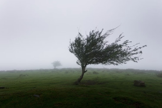 Las Vegas Braces for Weather Shift: Gusty Winds and Cooler Temperatures on the Horizon