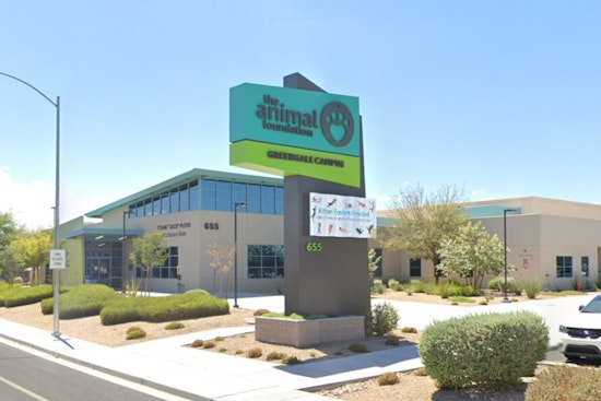 Las Vegas Enthusiasts Invited to Mars' Fee-Waived Pet Adoption Weekend at The Animal Foundation