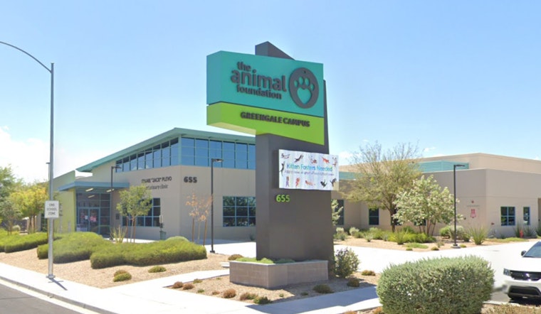 Las Vegas Enthusiasts Invited to Mars' Fee-Waived Pet Adoption Weekend at The Animal Foundation