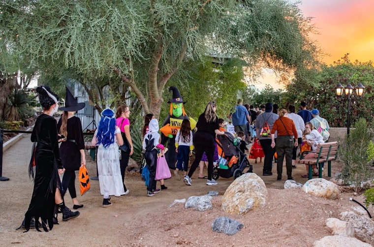Las Vegas Welcomes Spooky Season with Haunted Harvest at Springs Preserve