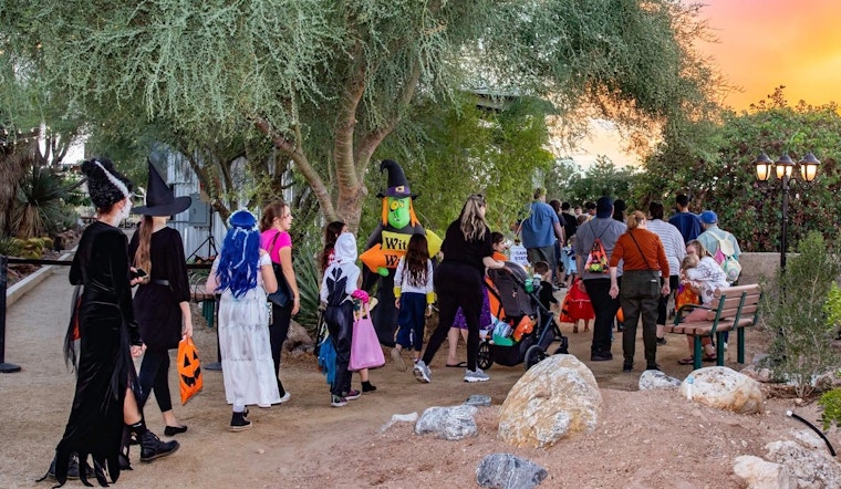 Las Vegas Welcomes Spooky Season with Haunted Harvest at Springs Preserve