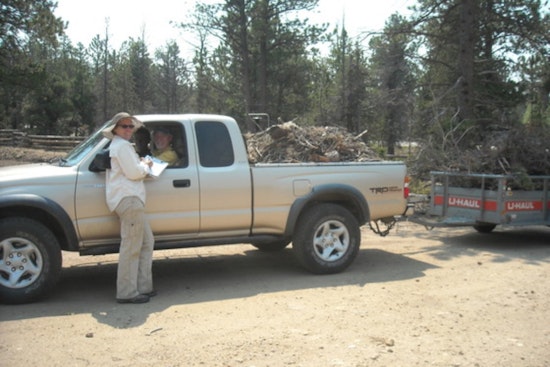 Last Chance for Free Branch and Log Disposal at Boulder County Sort Yards Before 2025 Season Ends