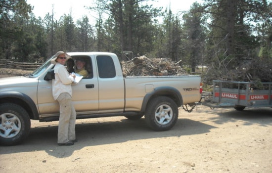 Last Chance for Free Branch and Log Disposal at Boulder County Sort Yards Before 2025 Season Ends