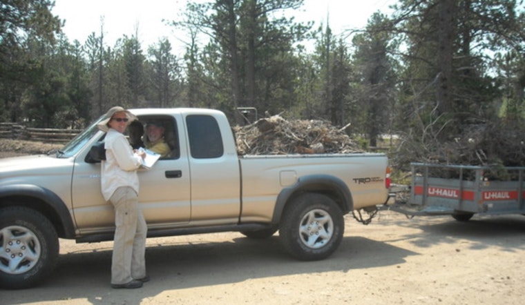 Last Chance for Free Branch and Log Disposal at Boulder County Sort Yards Before 2025 Season Ends