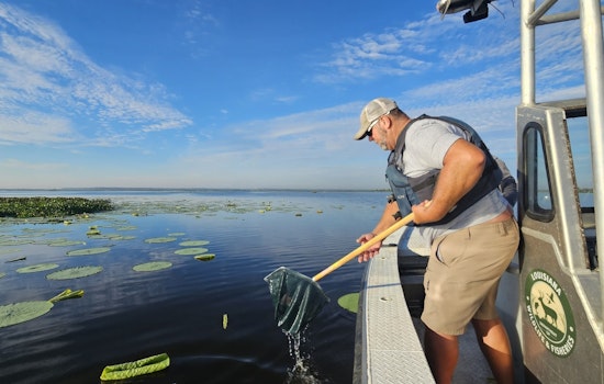 LDWF and RAU Stock Lake Boeuf with 32,000 Florida Bass in Collaborative Restoration Effort