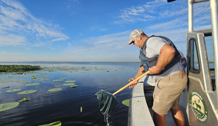 LDWF and RAU Stock Lake Boeuf with 32,000 Florida Bass in Collaborative Restoration Effort