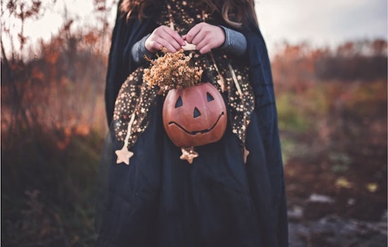 Lewisville PD Invites Community to Trunk or Treat Event for a Spooky-Sweet Halloween Celebration