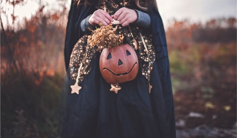 Lewisville PD Invites Community to Trunk or Treat Event for a Spooky-Sweet Halloween Celebration