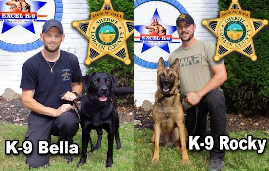 Lorain County Sheriff's Office Welcomes New K-9 Recruits Bella and Rocky to Bolster Public Safety Efforts