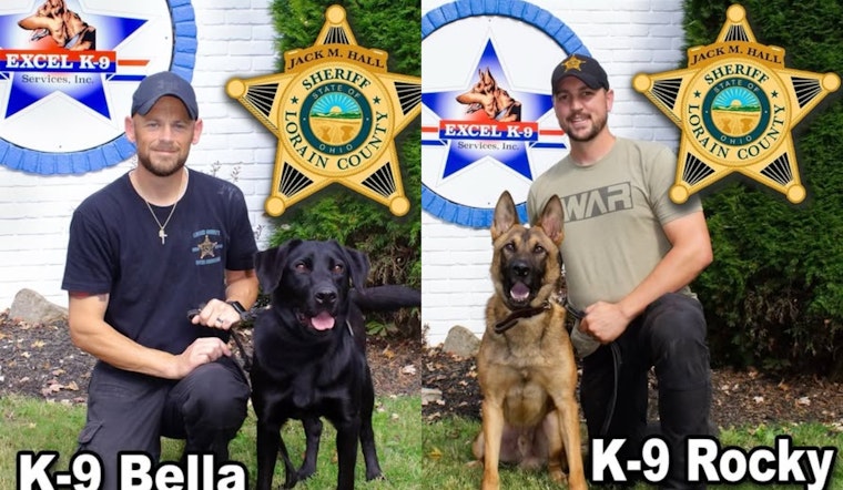 Lorain County Sheriff's Office Welcomes New K-9 Recruits Bella and Rocky to Bolster Public Safety Efforts