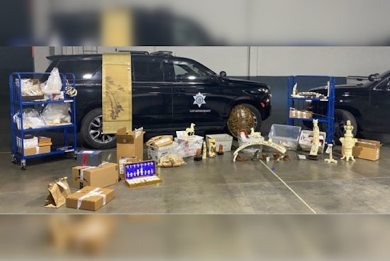 Los Angeles Illegal Wildlife Trafficking Ring Busted: Rhino Horns and Elephant Ivory Seized