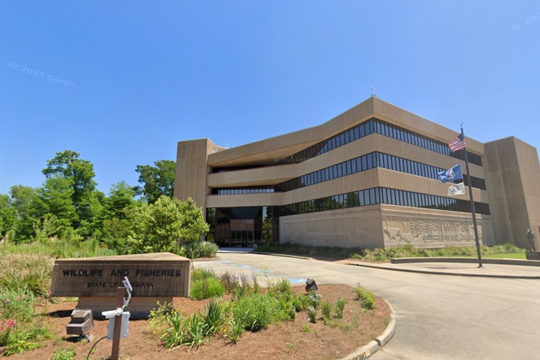 Louisiana Sees High Interest in Black Bear Hunting Season with Over 1,300 Lottery Applications Submitted