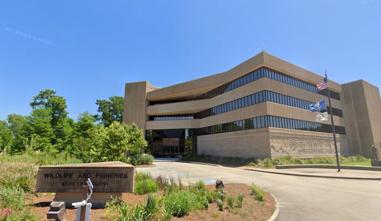 Louisiana Sees High Interest in Black Bear Hunting Season with Over 1,300 Lottery Applications Submitted