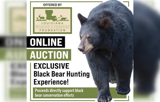 Louisiana Wildlife Foundation Launches Exclusive Black Bear Hunt Auction to Fund Conservation Research