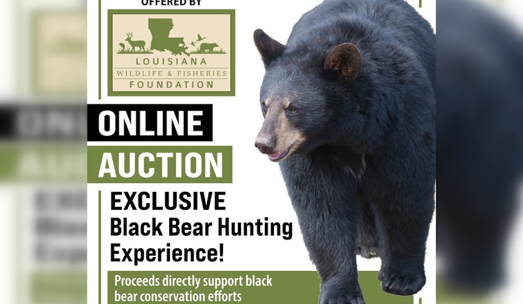 Louisiana Wildlife Foundation Launches Exclusive Black Bear Hunt Auction to Fund Conservation Research