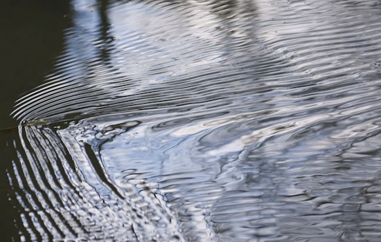 Man Missing After Severe Flooding in Las Vegas Valley as Two Women Rescued Amidst Hazardous Conditions