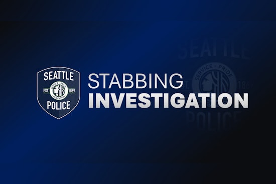Man Stabbed in Leg During Attempted Carjacking in Seattle's Capitol Hill as Police Seek Information