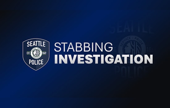 Man Stabbed in Leg During Attempted Carjacking in Seattle's Capitol Hill as Police Seek Information