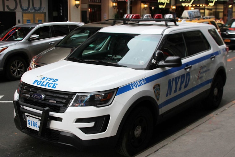 Manhattan Assailant Pleads Guilty in Assault on Elderly Woman and NYPD Officers