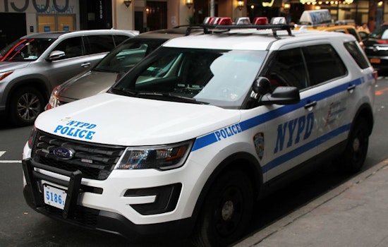Manhattan Assailant Pleads Guilty in Assault on Elderly Woman and NYPD Officers