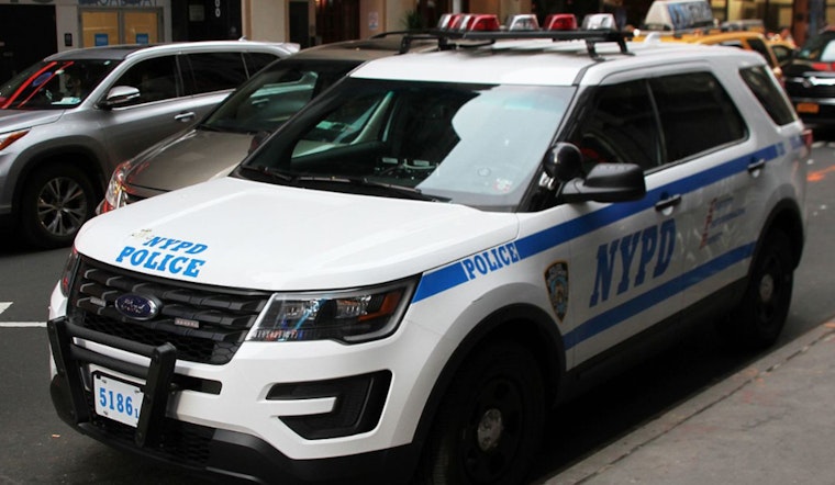 Manhattan Assailant Pleads Guilty in Assault on Elderly Woman and NYPD Officers