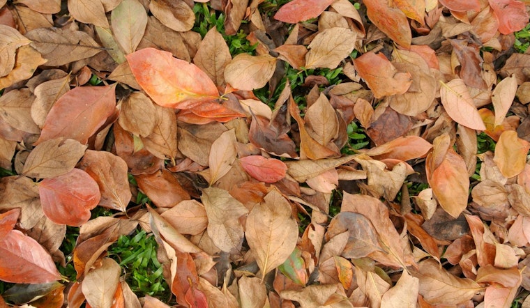 Mankato Offers Free Yard Waste Disposal for Residents with Proof of Residency