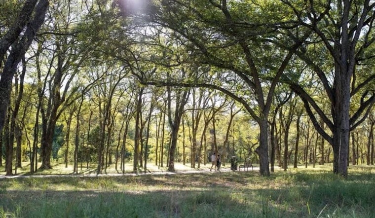 Mansfield Residents Rally to Surpass 5,000 Miles in Walktober Challenge