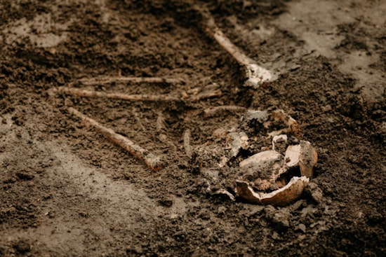 Maricopa County Advances in Identifying Unnamed Remains with Over 2,700 Cases Solved Through Technology and Collaboration