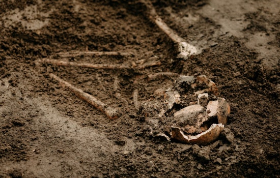 Maricopa County Advances in Identifying Unnamed Remains with Over 2,700 Cases Solved Through Technology and Collaboration